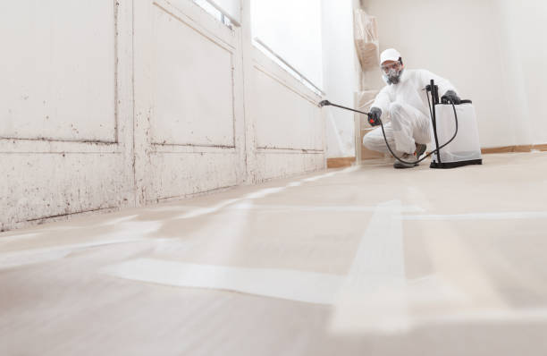 24/7 Emergency Attic Mold Remediation experts in Kingsville, TX